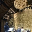 희선축사 이미지