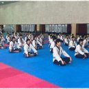 국가대표 TS 태권도센터 이미지
