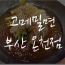 고메밀면 온천점 | 밀면 살아있네~!🥢 <고메밀면 온천점> 내돈내산