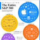 S&P 500 지수의 모든 회사 시각화 이미지