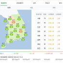 농도 MBN