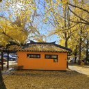 장현리 은행마을 화장실 이미지