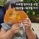 영아어린이집(승합차4) | 프뢰벨 영아다중 방문수업 언제부터 시기 가격 만족도 7개월 후기