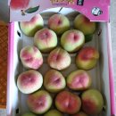 춘선농장 이미지