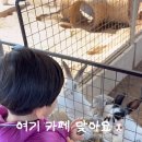 화합로L 이미지