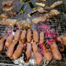 한타총판㈜ | [통통소시지] 후기 캠핑요리 직화구이 솔직 리뷰