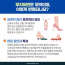 레푸스마곡 이미지