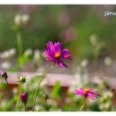 의료법인 청송의료재단 해뜨락요양병원 이미지