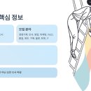 워라밸 게스트하우스 | 파마리서치 채용 2026 완벽 가이드 - 평균 연봉 6천만원, 셋째 출산금 1천만원