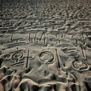 피티# 노빠꾸짐 이미지