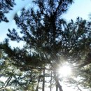 스포츠파크펜션 이미지