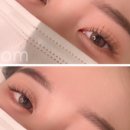 래쉬블룸(Lash Bloom)