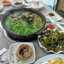 팔도돼지국밥 | 포항 오천 맛집, 능이오리백숙 찐 맛집 - 팔도돼지국밥