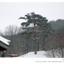 행운떡집 이미지