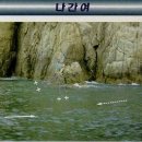 다대12-2 이미지