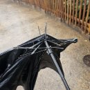 이상한 나라의 동물들과 신밧드의 모험 | 뒤죽박죽 상하이 여행 (4) : 상하이 디즈니랜드 어트랙션 찐 후기 추천