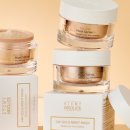 골드나이트 이미지