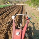 일동농약사 이미지