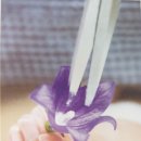 tea하모니 이미지