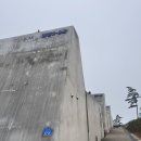꾸지나무골텔 | 태안 SE클럽, 아이와 태안 여행 숙소로 추천하는 풀빌라 캠핑장 후기