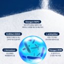 슈나우펫 | 강아지유산균 라이언펫 슈퍼비티더스 내돈내산