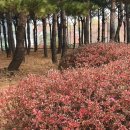 엠지의원 이미지