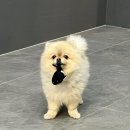 피피왁싱