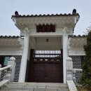 내촌마을 | 🌸밀양 내촌마을 수국동산🌿지난 주말 방문기 (기회송림공원 꽃담뜰로 이동) 파란 수국이 가득한 소나무...