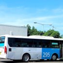 성산일출봉농업협동조합신산지점 이미지