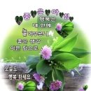 마니