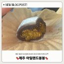 봉봉푸드 | 제주 동문 야시장 두바이 초코 모찌 맛집 찾았다! “ 아일랜드 봉봉 ” 솔직 후기