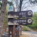 고모산성, 토끼비리 | 봄이로구나 진달래화원 고모산성 토끼비리 진남교반 영강을 품은 문경 오정산 왕복산행코스