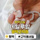 네일아트 | 고덕네일 추천 네일루밍에서 만난 감성 네일 아트 후기