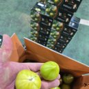 대저 반짭짤이 못난이&amp;흑대추방울토마토!!!! 이미지