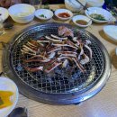 신정희춘천숯불닭갈비 이미지
