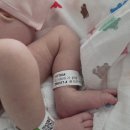 오복과일 | [4] 26년 오복맘 조리원 일기 (4~7일차/좋은문화산후조리원)