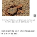이재명 부모 묘소에 박힌 돌이…李 &#34;무슨 의미일까&#34; 이미지