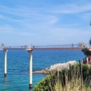 바다와소나무 이미지