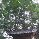 성황당 이미지