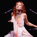 Holly Shop 이미지