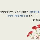 가족플라워 이미지
