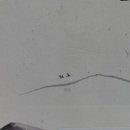 김훈공인중개사사무소 이미지