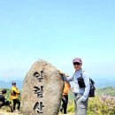 일림 이미지