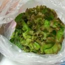 16번출구칼삼겹 이미지