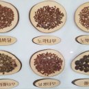 경상북도수목원 이미지