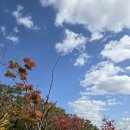 독립기념관 이미지