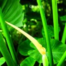 추산농장 이미지