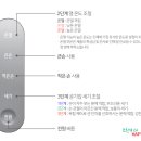 토닥케어 이미지