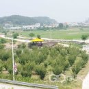 도장골천 이미지