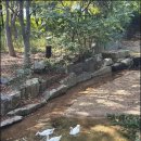 두부촌 | 의정부 낙양동 맛집 두부촌 다녀온 후기, 만족도 높았던 정식 메뉴